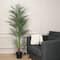 5.25ft. Potted Areca Palm Tree